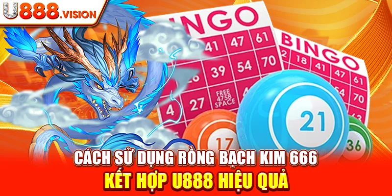 Cách Sử Dụng Rồng Bạch Kim 666 Kết Hợp U888 Hiệu Quả